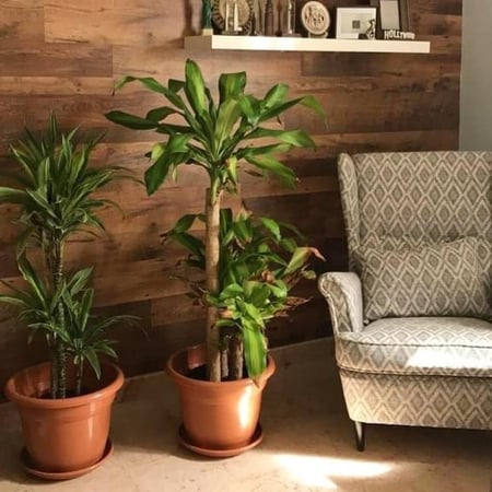 مركن زرع مع صحن 50 لتر- رقم الموديل(50)