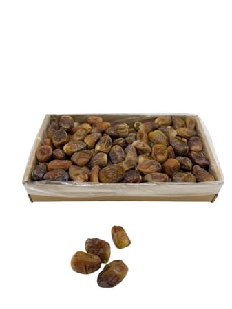 شيشي رطب شبح