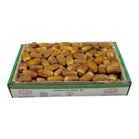 رشودية بانوراما