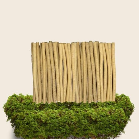 25 مسواك أراك