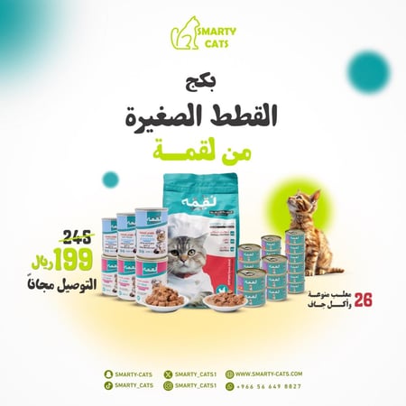 بكج القطط الصغيرة من لقمة