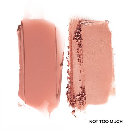 باتريك تا بيوتي بودرة احمر خدود ثاني - NOT TOO MUCH