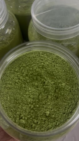 سدر جيزاني نقي