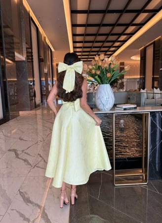 دانتيل فرنسي