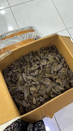 فيتنامي التميز