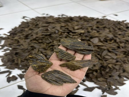 فيتنامي التميز