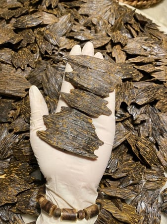 فيتنامي لمار سيوفي