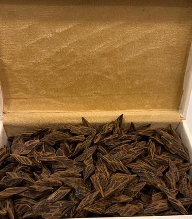 كمبودي تايقر