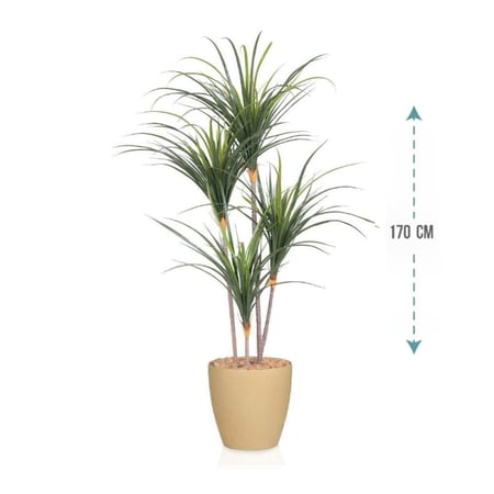 شجر صبار 4 فرع ارتفاع 170سم: 1053-2040R