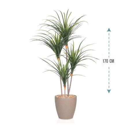 شجر صبار 4 فرع ارتفاع 170سم: 1053-2040R