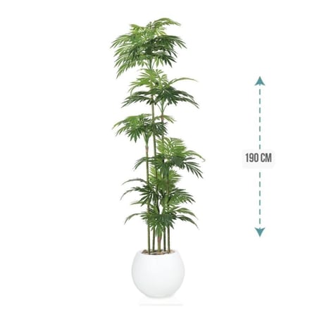 شجر نخل 6 فرع حوض فيبر  190 سم : 576-515