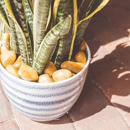 حجر زينة متوسط و كبير الحجم مصقول لامع مزخرفة  و مصقولة تشكيلة ملونه بالبني فاتح و الزيتي الرمادي و الأبيض لحوض السمك والحديقة والمناظر الطبيعية وديكور المنزل الداخلي والخارجي،