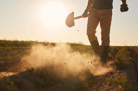 باقة الصيانة والعناية بالحديقة