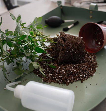 حصير لإعادة زرع النباتات