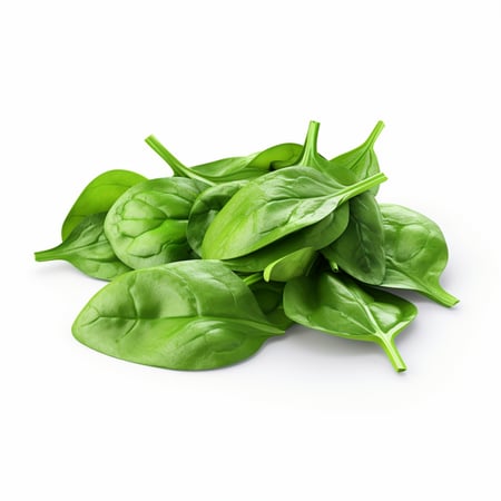 سبانخ - ربطة