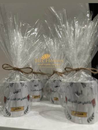 تغليف شفاف للمنتج