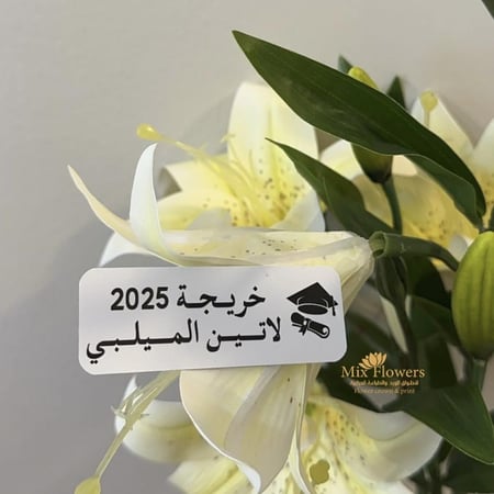 البروش العادي برمز قبعة التخرج