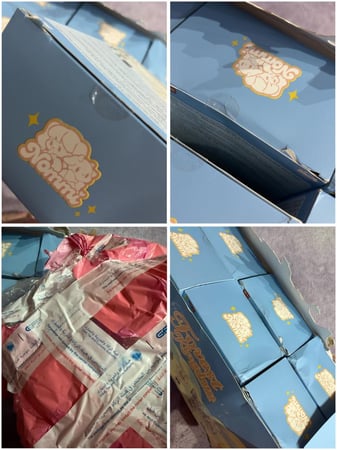 Nommi Forest Kingdom Series BJD Doll Blind Box