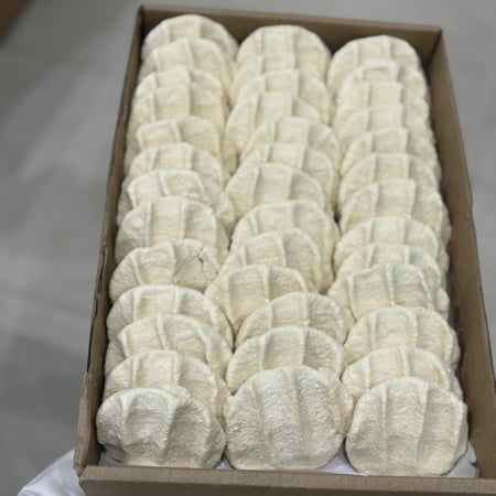 بقل - مضير- اقط