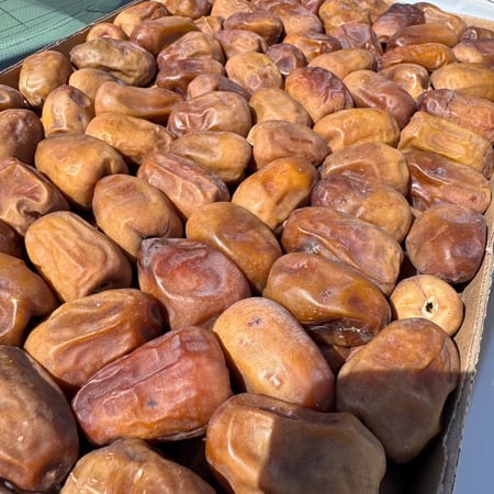 نبتة علي ملكي