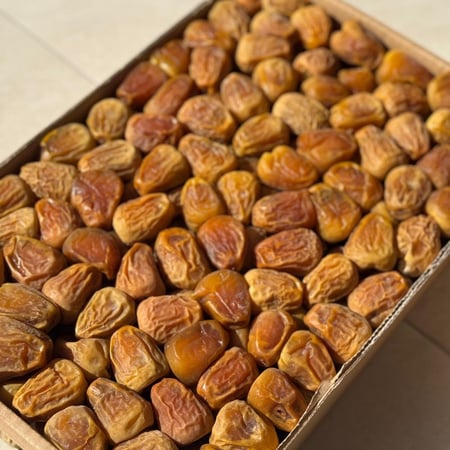 سكري مفتل ملكي