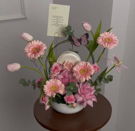 فازة وتشوكلت ساكورا