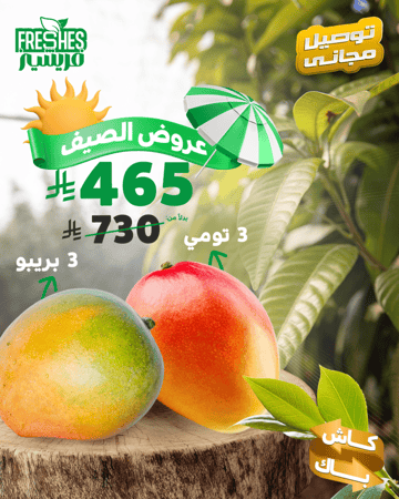 3 كرتون بريبو & 3 كرتون تومي | عروض الصيف