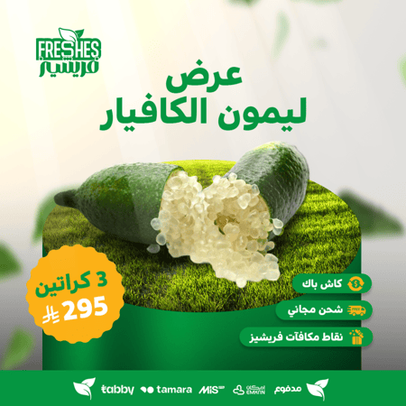 فريشيز FRESHES