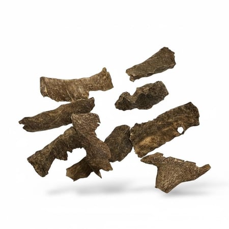 عود زوايا فيتنامي طبيعي نكهة زعفرانية