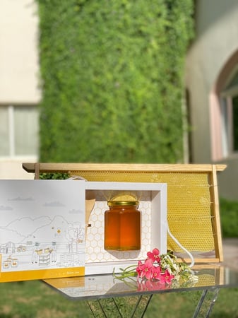 عسل ربيع- عسل ربيع زهور حائل