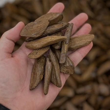 مروكي الشيوخ الفاخر