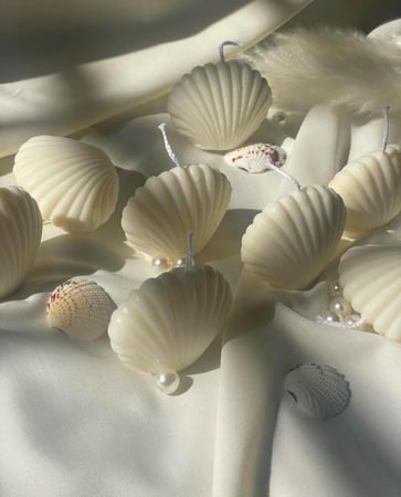 شموع الاصداف المعطره