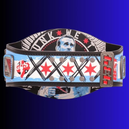 CM PUNK 434 DAY TITLE