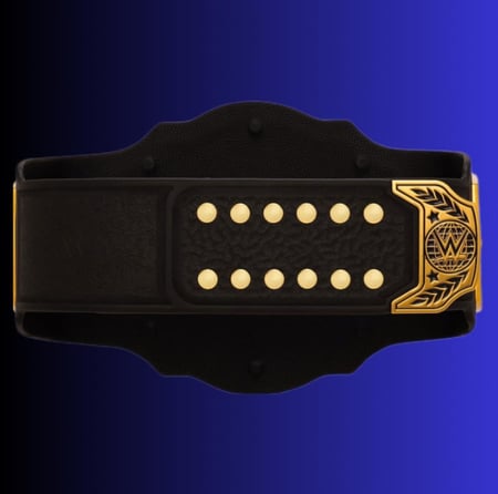 WWE INTERCONTINENTAL CHAMPIONSHIP