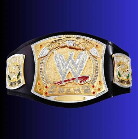 WWE CHAMPIONSHIP SPINNER