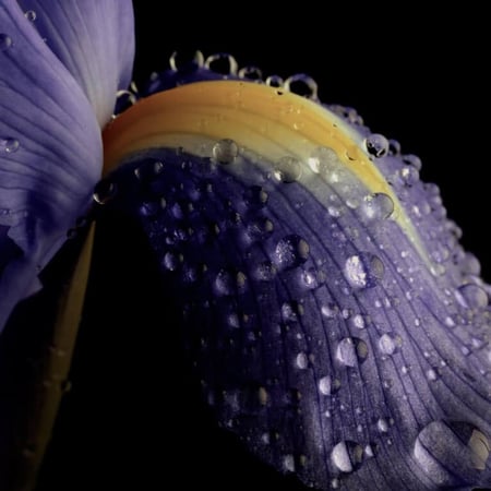 عطر اكس كومبليكس