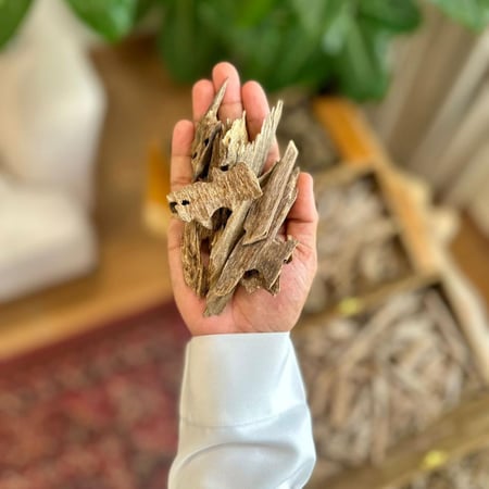 عود كلمنتان بونتيانك - طبيعي