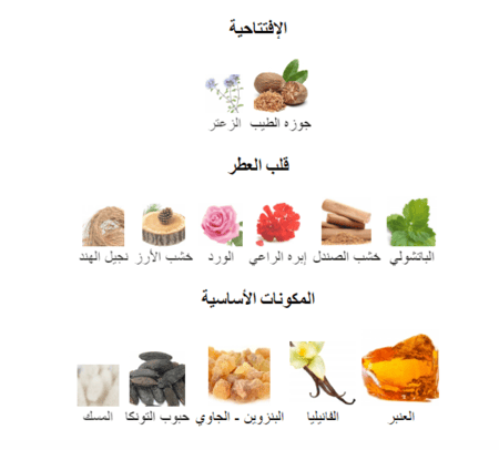 عنبر 114 هيستوريس دو بارفيومز عينات