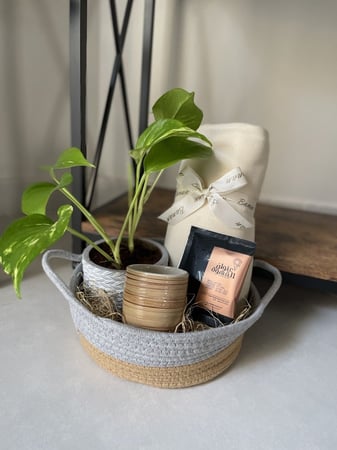 هدية نبتة للمكتب الجديد