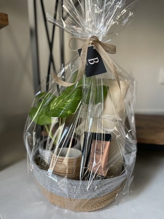 هدية نبتة للمكتب الجديد