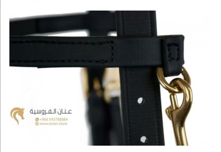 training halter