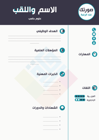 سيرة ذاتية نموذج 8