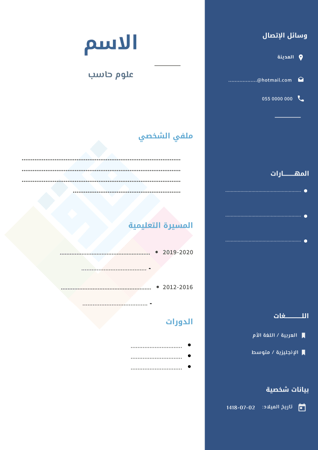 سيرة ذاتية نموذج 2