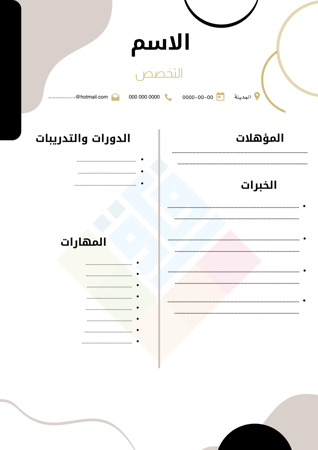 سيرة ذاتية نموذج 3