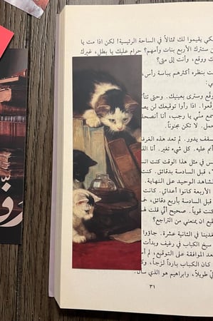 فاصل كتاب قطط