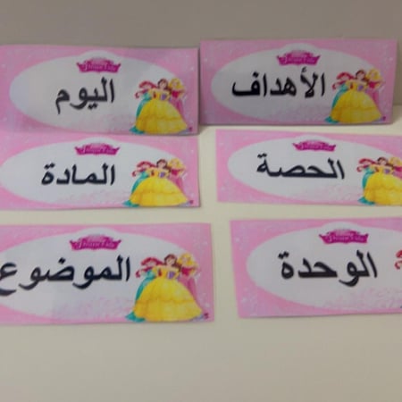 بطاقات تنظيم السبورة بثيم أميرات ديزني(9 قطع مع مغناطيس )