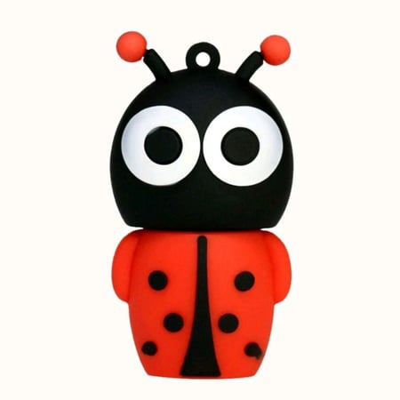 usbعلى شكل دعسوقة 8 جيجا