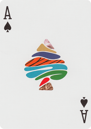 ورق لعب بلوت سبلاش - ليمتد اديشن