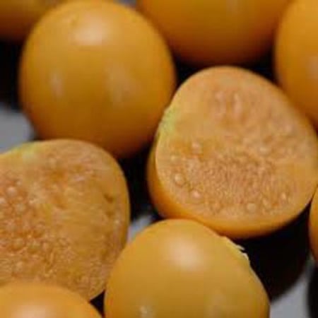 بذور نبات الحرنكش