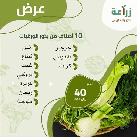 بذور الورقيات